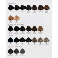 5/1 «Светлый шатен пепельный» Colortec permanent, Kebren 100 мл