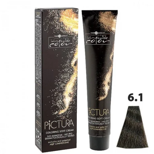 6.1 Тёмно-русый пепельный, Мягкая крем-краска Pictura Coloring Soft Cream - Hair Company 100 мл