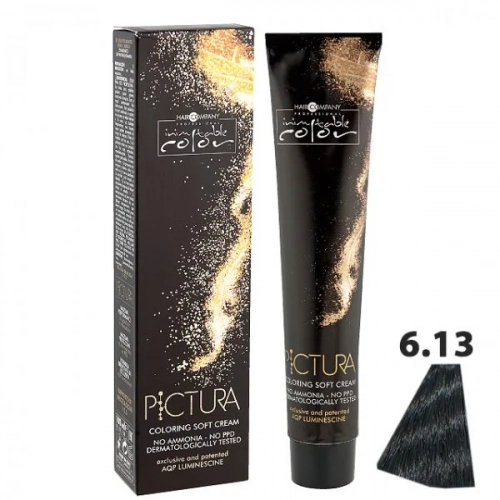 6.13 Тёмно-русый ледяной, Мягкая крем-краска Pictura Coloring Soft Cream - Hair Company 100 мл  