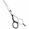 Ножницы парикмахерские Прямые "Pro-scissors WB" 5.5 - Kapous Professional  